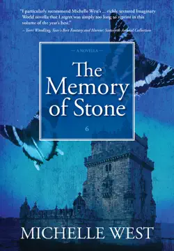 the memory of stone book cover image