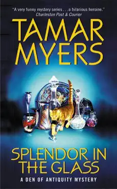 splendor in the glass book cover image