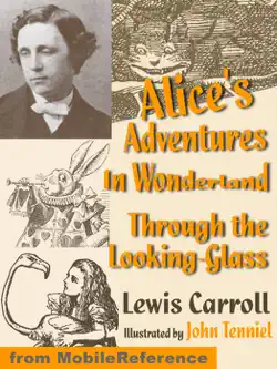 alice's adventures in wonderland and through the looking glass. illustrated. book cover image