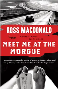 meet me at the morgue book cover image