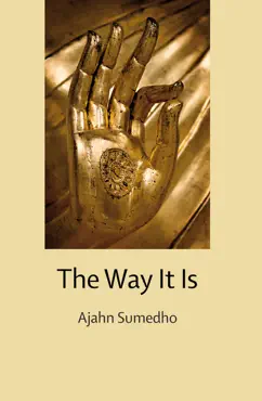 the way it is book cover image