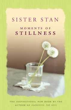 moments of stillness book cover image