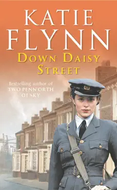 down daisy street book cover image