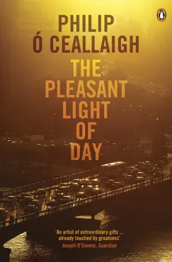 the pleasant light of day imagen de la portada del libro