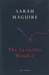The Invisible Mender synopsis, comments