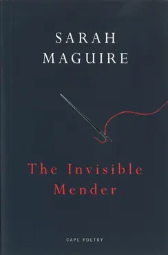 the invisible mender book cover image