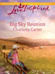 Big Sky Reunion synopsis, comments