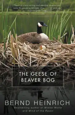 the geese of beaver bog book cover image