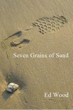 seven grains of sand book cover image