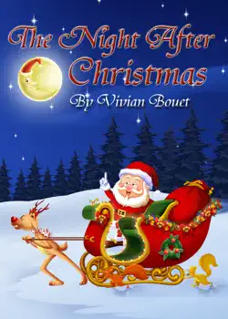 the night after christmas book cover image