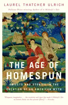 the age of homespun book cover image