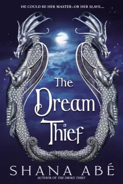 the dream thief book cover image