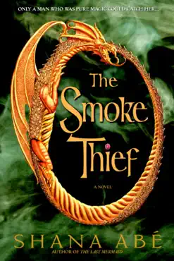 the smoke thief book cover image
