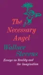 The Necessary Angel synopsis, comments