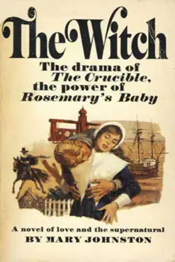 the witch book cover image