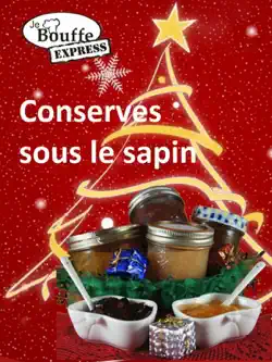jebouffe-express conserves sous le sapin book cover image