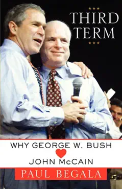 third term book cover image