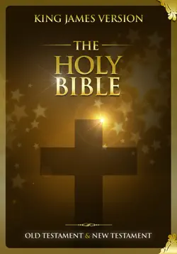 the holy bible king james version book cover image