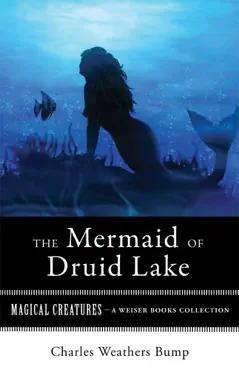 the mermaid of druid lake book cover image