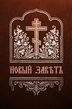 Новый завет book cover image