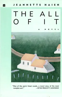 the all of it book cover image