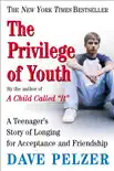 The Privilege of Youth synopsis, comments