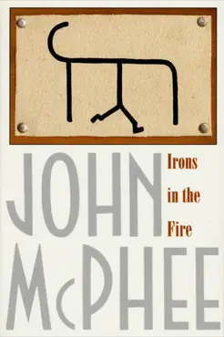 irons in the fire book cover image