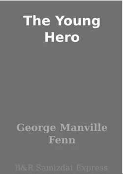the young hero book cover image
