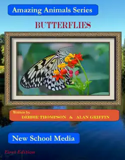 butterflies book cover image