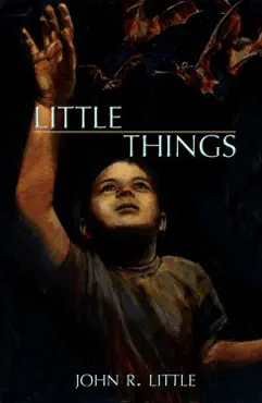 little things book cover image