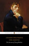 The Sorrows of Young Werther synopsis, comments
