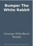 Bumper The White Rabbit synopsis, comments