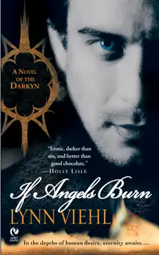 if angels burn book cover image