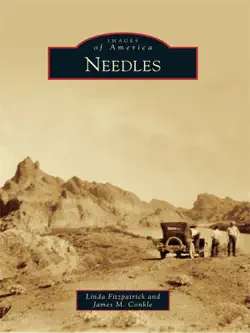 needles book cover image