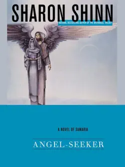 angel-seeker book cover image