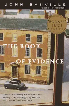 the book of evidence book cover image
