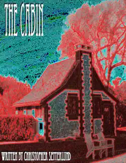 the cabin book cover image