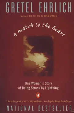 a match to the heart book cover image