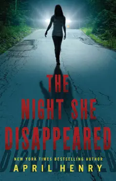 the night she disappeared book cover image