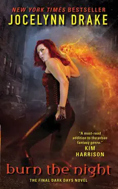 burn the night book cover image
