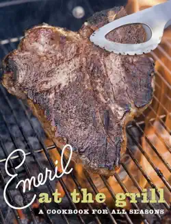 emeril at the grill book cover image