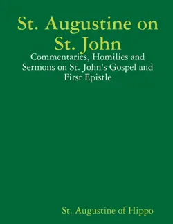 st. augustine on st. john book cover image