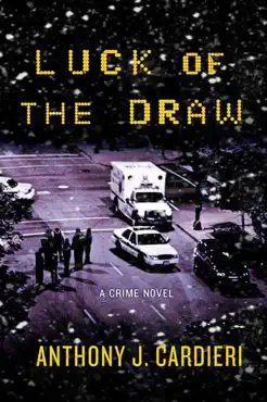 luck of the draw book cover image