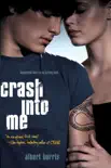 Crash into Me synopsis, comments