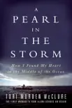 A Pearl in the Storm synopsis, comments
