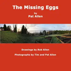 the missing eggs book cover image