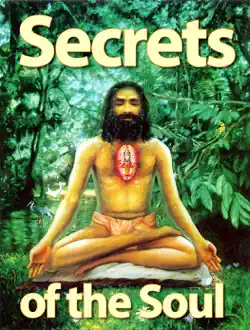 secrets of the soul book cover image