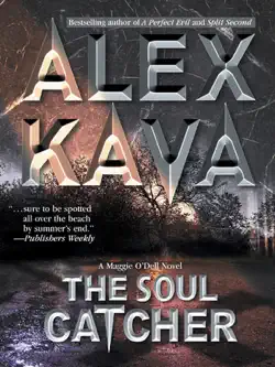 the soul catcher book cover image