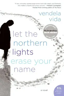 let the northern lights erase your name book cover image