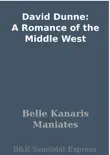 David Dunne: A Romance of the Middle West sinopsis y comentarios